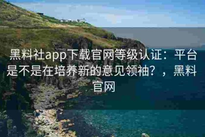 黑料社app下载官网等级认证：平台是不是在培养新的意见领袖？，黑料 官网
