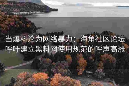 当爆料沦为网络暴力：海角社区论坛呼吁建立黑料网使用规范的呼声高涨