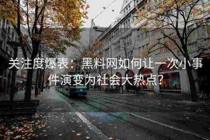 关注度爆表：黑料网如何让一次小事件演变为社会大热点？