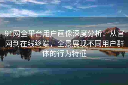91网全平台用户画像深度分析：从官网到在线终端，全景展现不同用户群体的行为特征