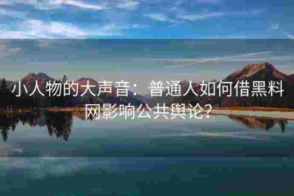 小人物的大声音：普通人如何借黑料网影响公共舆论？