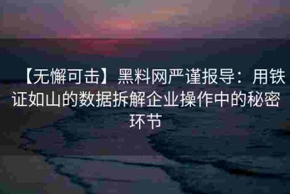【无懈可击】黑料网严谨报导：用铁证如山的数据拆解企业操作中的秘密环节