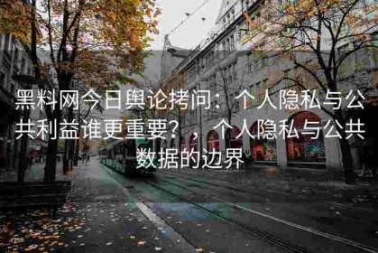 黑料网今日舆论拷问：个人隐私与公共利益谁更重要？，个人隐私与公共数据的边界