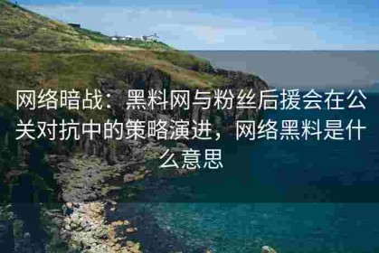 网络暗战：黑料网与粉丝后援会在公关对抗中的策略演进，网络黑料是什么意思