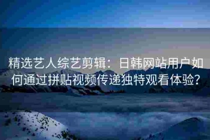 精选艺人综艺剪辑：日韩网站用户如何通过拼贴视频传递独特观看体验？