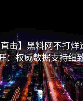 【全网直击】黑料网不打烊运营内幕大公开：权威数据支持细致解读