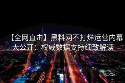 【全网直击】黑料网不打烊运营内幕大公开：权威数据支持细致解读
