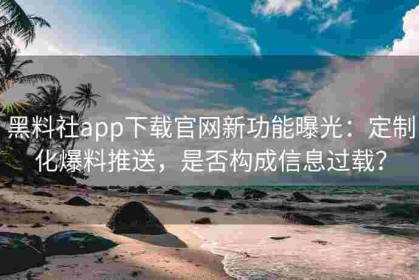 黑料社app下载官网新功能曝光：定制化爆料推送，是否构成信息过载？