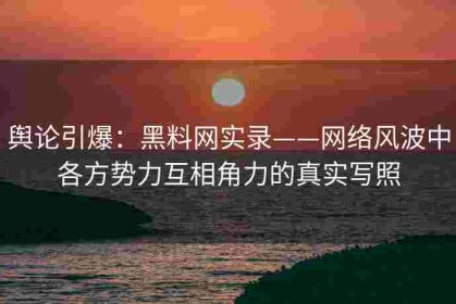 舆论引爆：黑料网实录——网络风波中各方势力互相角力的真实写照