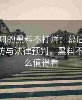 不为人知的黑料不打烊：幕后团队的技术攻防与法律预判，黑料不打烊 什么值得看