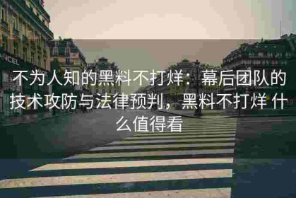 不为人知的黑料不打烊：幕后团队的技术攻防与法律预判，黑料不打烊 什么值得看