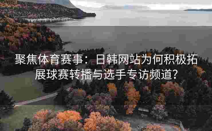 聚焦体育赛事：日韩网站为何积极拓展球赛转播与选手专访频道？