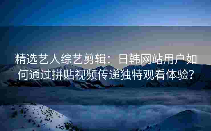 精选艺人综艺剪辑：日韩网站用户如何通过拼贴视频传递独特观看体验？