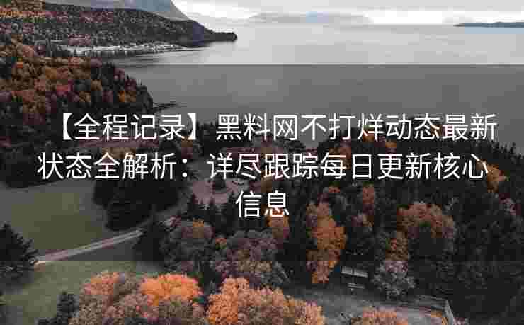【全程记录】黑料网不打烊动态最新状态全解析：详尽跟踪每日更新核心信息
