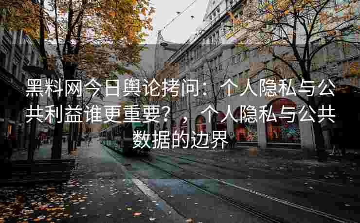 黑料网今日舆论拷问：个人隐私与公共利益谁更重要？，个人隐私与公共数据的边界