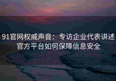 91官网权威声音：专访企业代表讲述官方平台如何保障信息安全