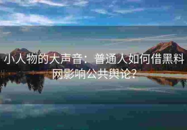 小人物的大声音：普通人如何借黑料网影响公共舆论？