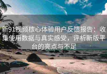 新91视频核心体验用户反馈报告：收集使用数据与真实感受，评析新版平台的亮点与不足