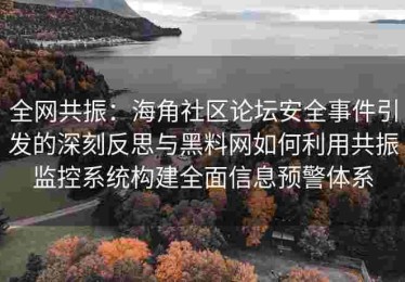 全网共振：海角社区论坛安全事件引发的深刻反思与黑料网如何利用共振监控系统构建全面信息预警体系