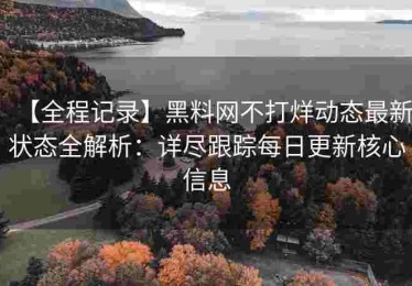 【全程记录】黑料网不打烊动态最新状态全解析：详尽跟踪每日更新核心信息
