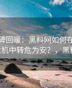 用户口碑回暖：黑料网如何在一次次舆论危机中转危为安？，黑料 官网