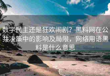 数字民主还是狂欢闹剧？黑料网在公共决策中的影响及局限，网络用语黑料是什么意思