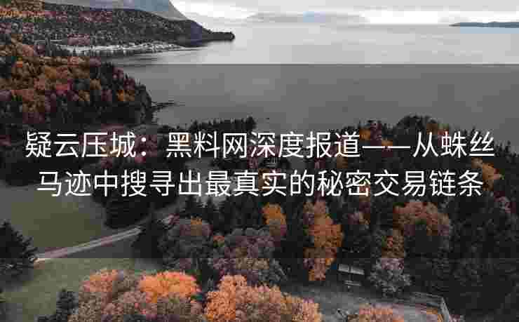 疑云压城：黑料网深度报道——从蛛丝马迹中搜寻出最真实的秘密交易链条