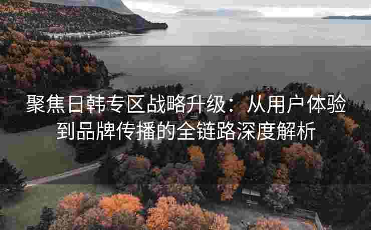 聚焦日韩专区战略升级：从用户体验到品牌传播的全链路深度解析